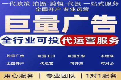案例解读：网络推广与竞价策略